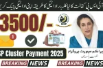 BISP Kafalat New Cluster Payment