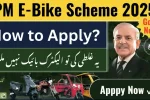 Eligibility Criteria for PAVE Scheme Revealed