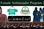 CM Female Ambassador