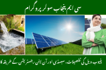 CM Punjab Solar Program for Tubewells 2025