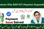 Reasons Why BISP 8171 Payment Suspended