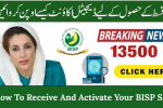How To Receive And Activate Your BISP SIM