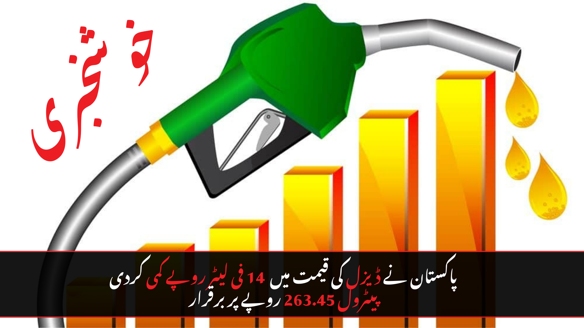 Pakistan Cuts Diesel Price by Rs. 14 Per Liter, Petrol Remains at Rs. 263.45