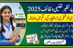 Punjab Benazir Taleemi Wazaif 2025