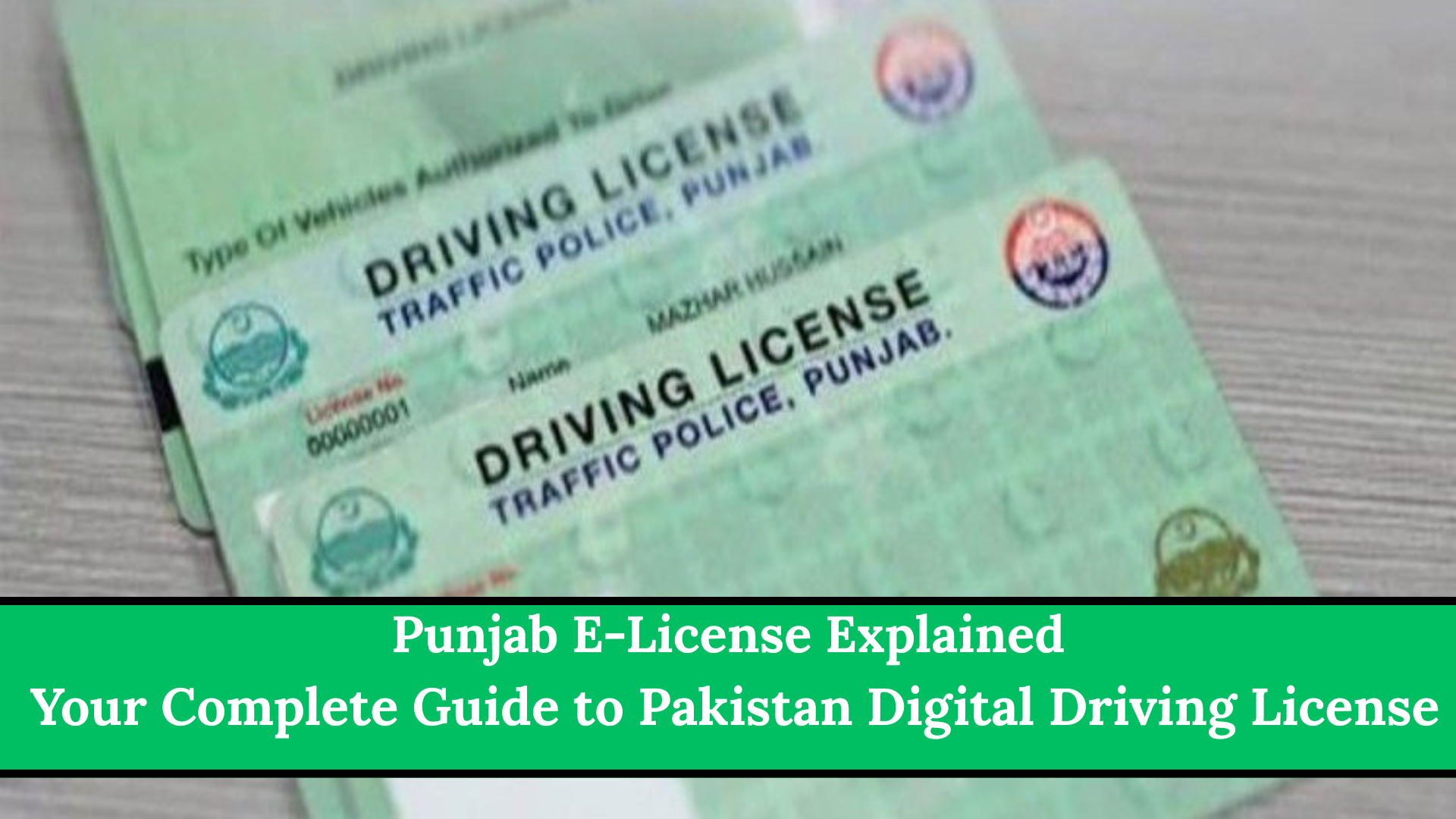 Punjab E-License Explained