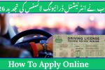 Punjab Launches Online System for International Driving License Renewal 2026