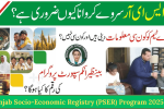 Punjab Socio-Economic Registry (PSER) Program 2025-26